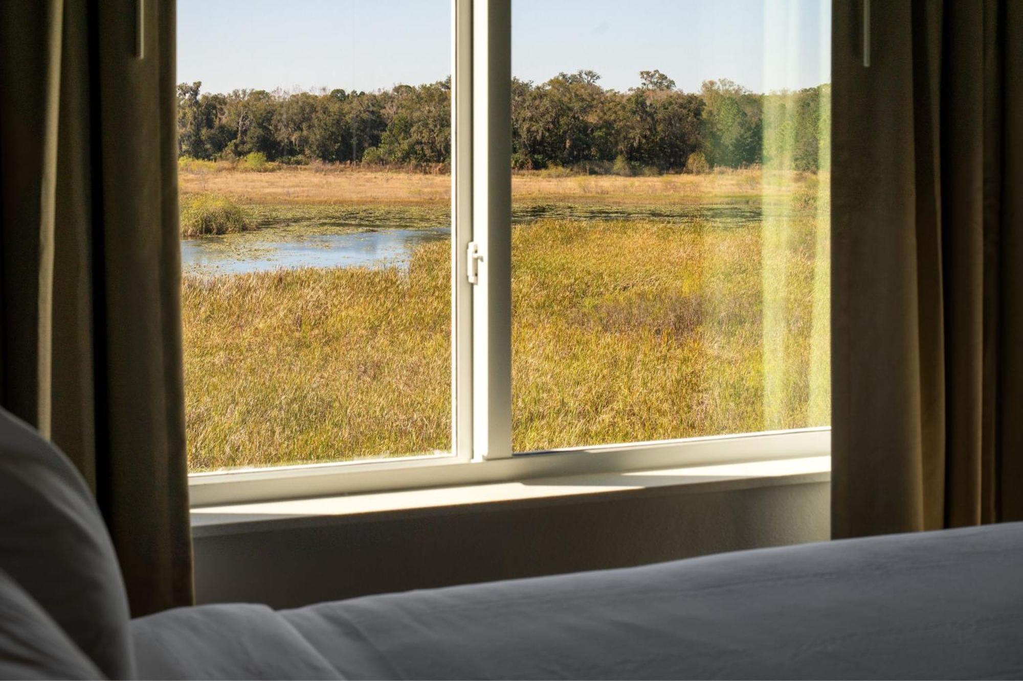 Residence Inn By Marriott Tampa Wesley Chapel Εξωτερικό φωτογραφία